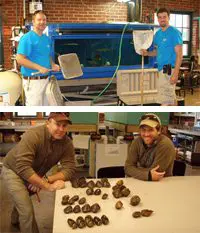 Mussel research at the Biology Field Station